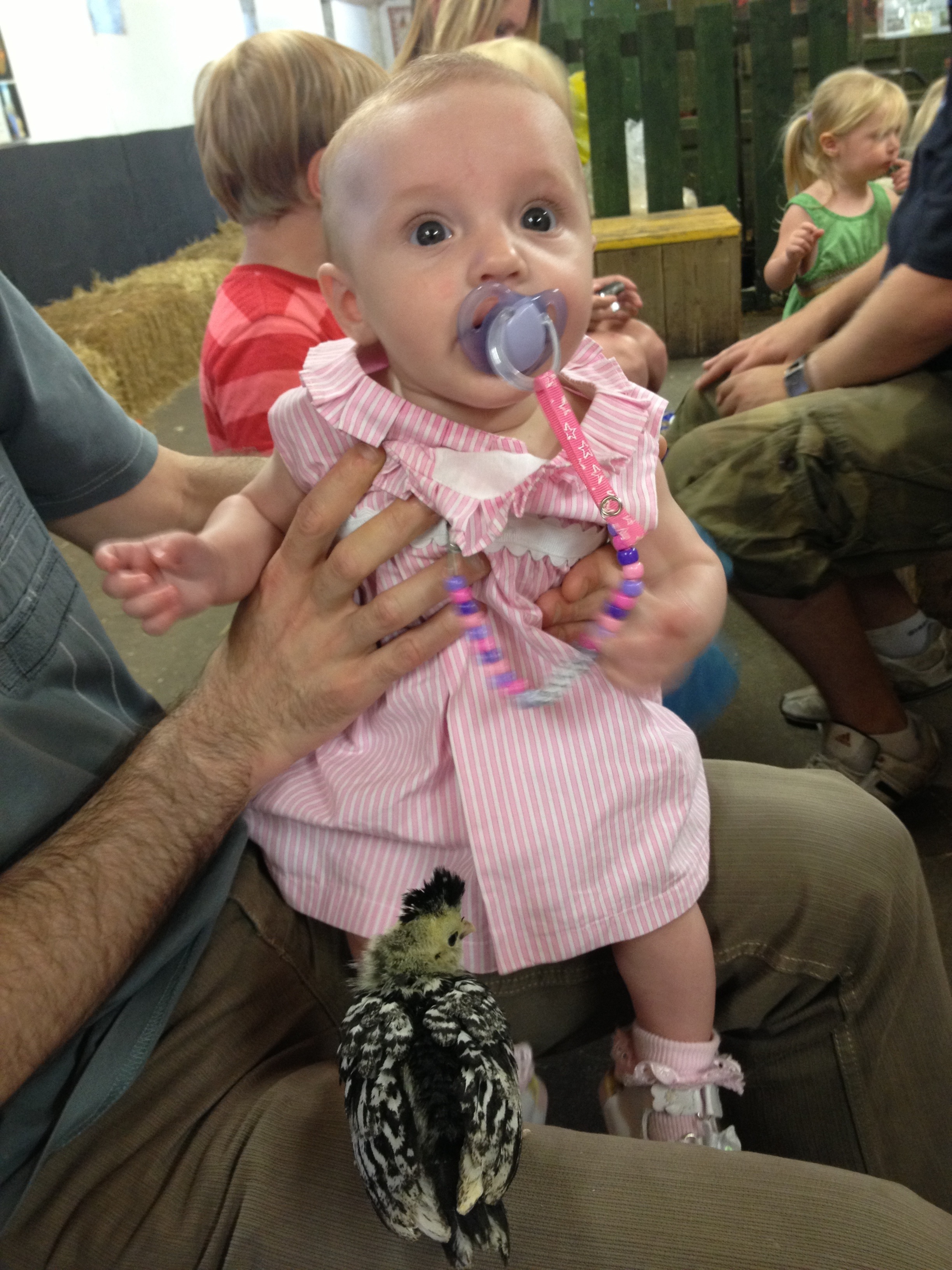 20120729-201416.jpg