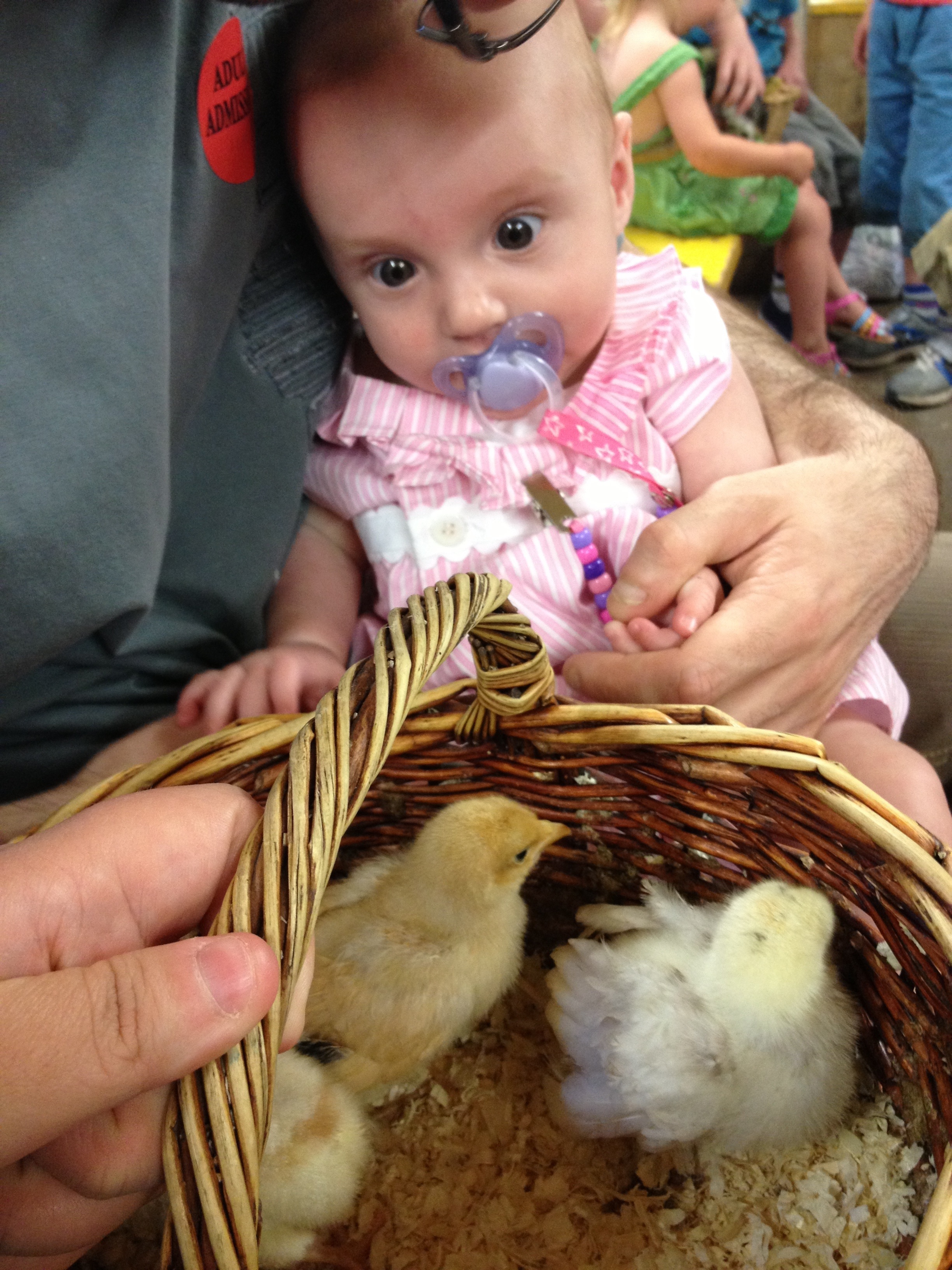 20120729-201438.jpg